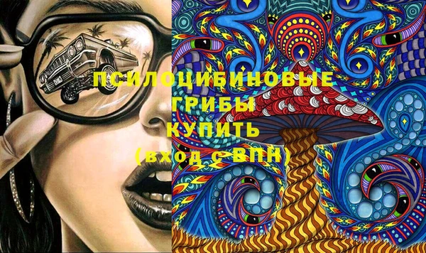 дживик Магас