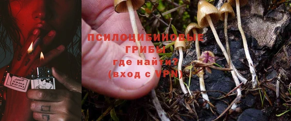 mdpv Медвежьегорск