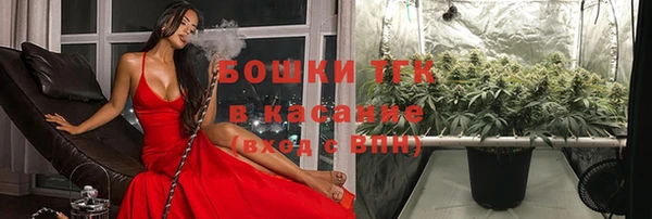 дживик Магас