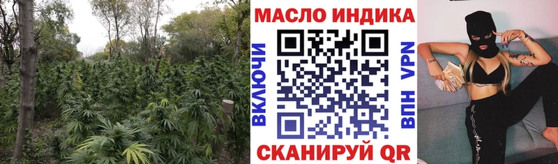 где продают наркотики  Опочка  Дистиллят ТГК гашишное масло 